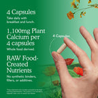 Garden of Life Raw Calcium with Magnesium D3 K2 – Bone Health

