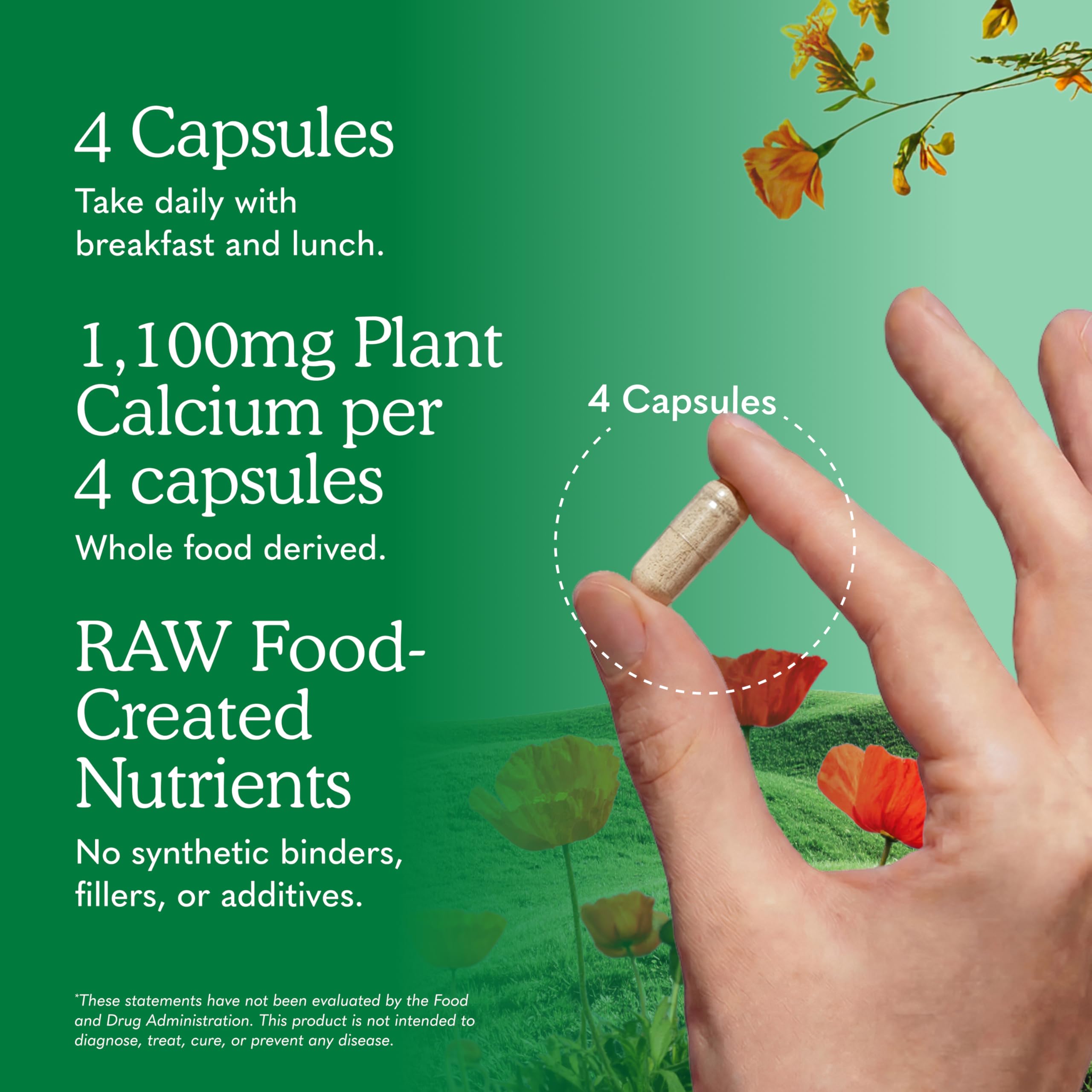 Garden of Life Raw Calcium with Magnesium D3 K2 – Bone Health

