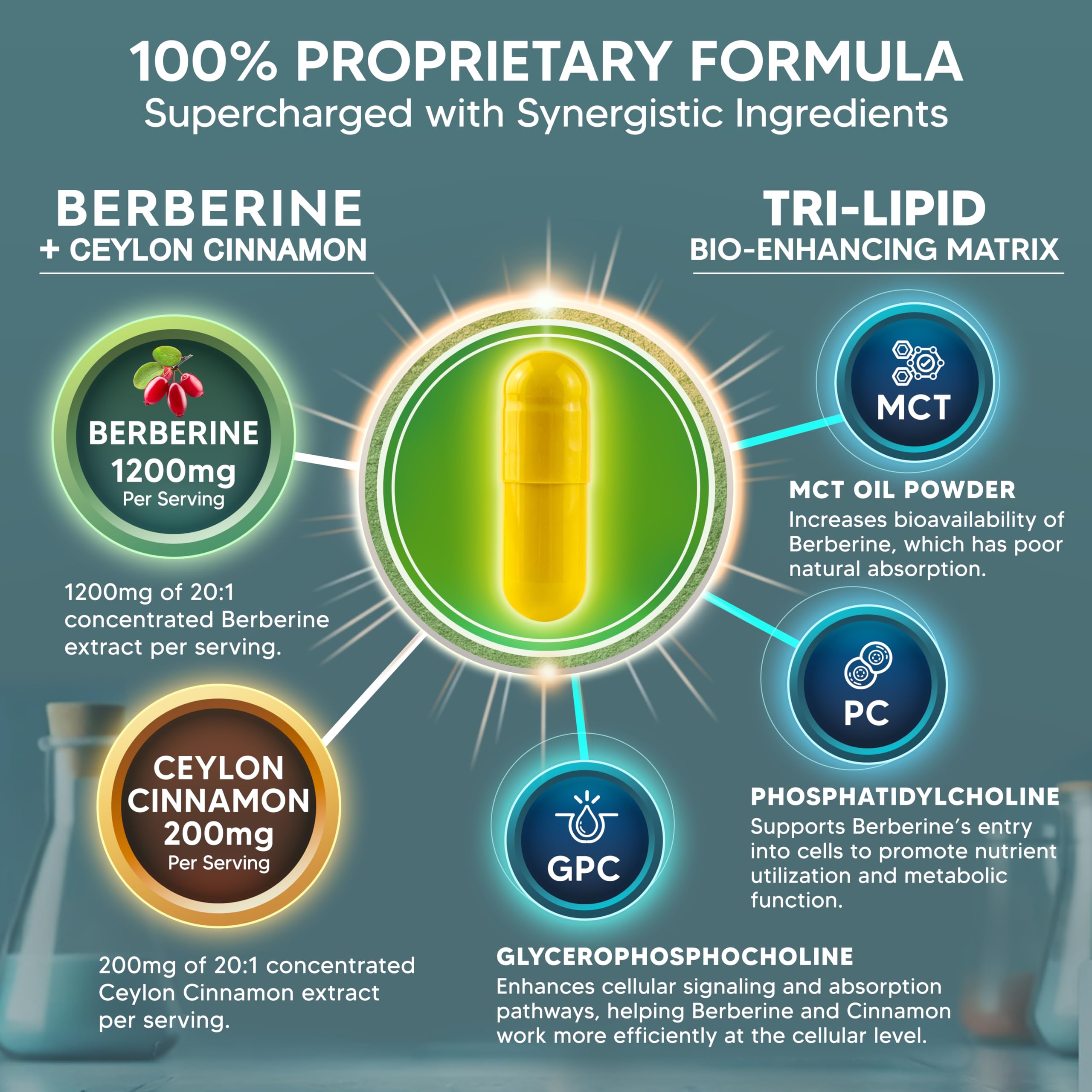 Berberine with Cinnamon by aSquared Nutrition | Max Strength

