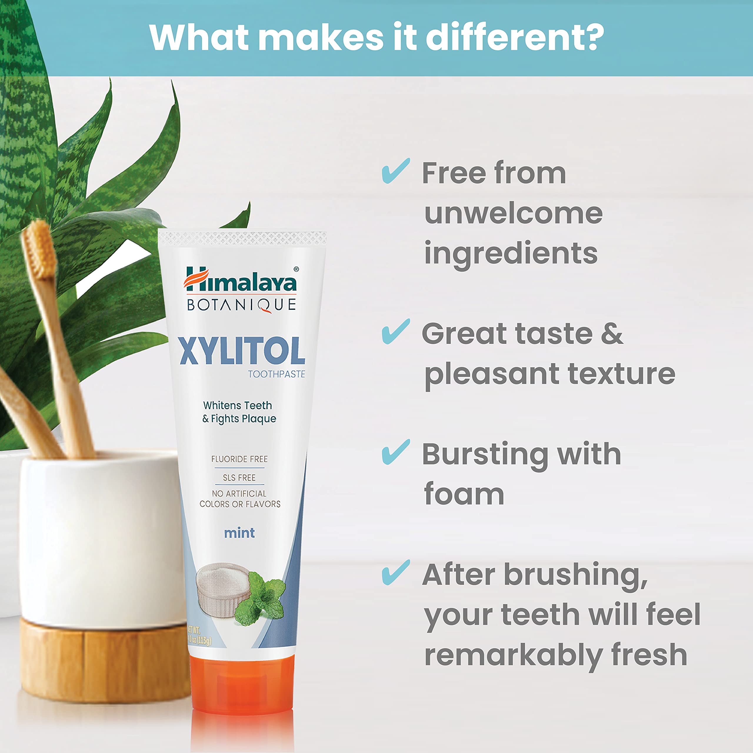 Himalaya Botanique Toothpaste Whitening Antiplaque Xylitol

