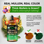 Mullein Drops for Lungs – USDA Organic Mullein Leaf Extract

