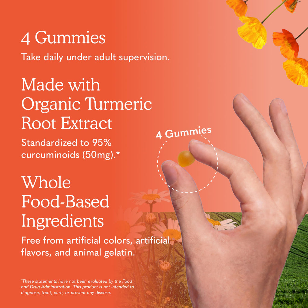 Curcumin Gummies Garden of Life Organics Inflammation

