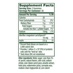 Align Probiotic Gummies with Prebiotics | Gluten Free

