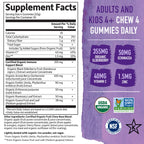 Garden of Life Organics Elderberry Gummies Immune Support

