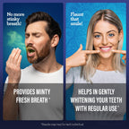 GuruNanda Dual Barrel Whitening Mouthwash - Wild Mint

