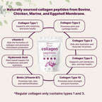 Micro Ingredients Collagen Peptides Powder – Unflavored

