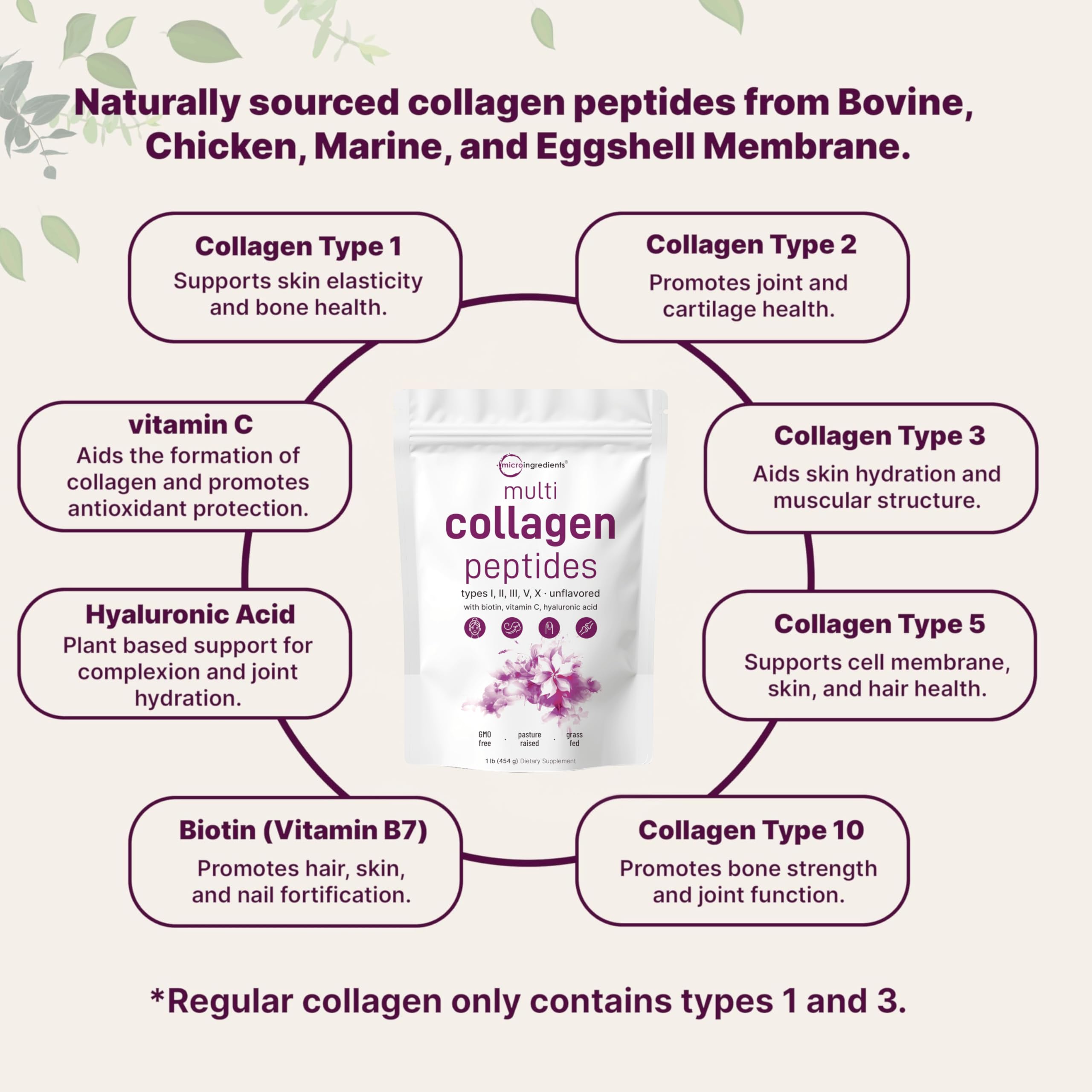 Micro Ingredients Collagen Peptides Powder – Unflavored

