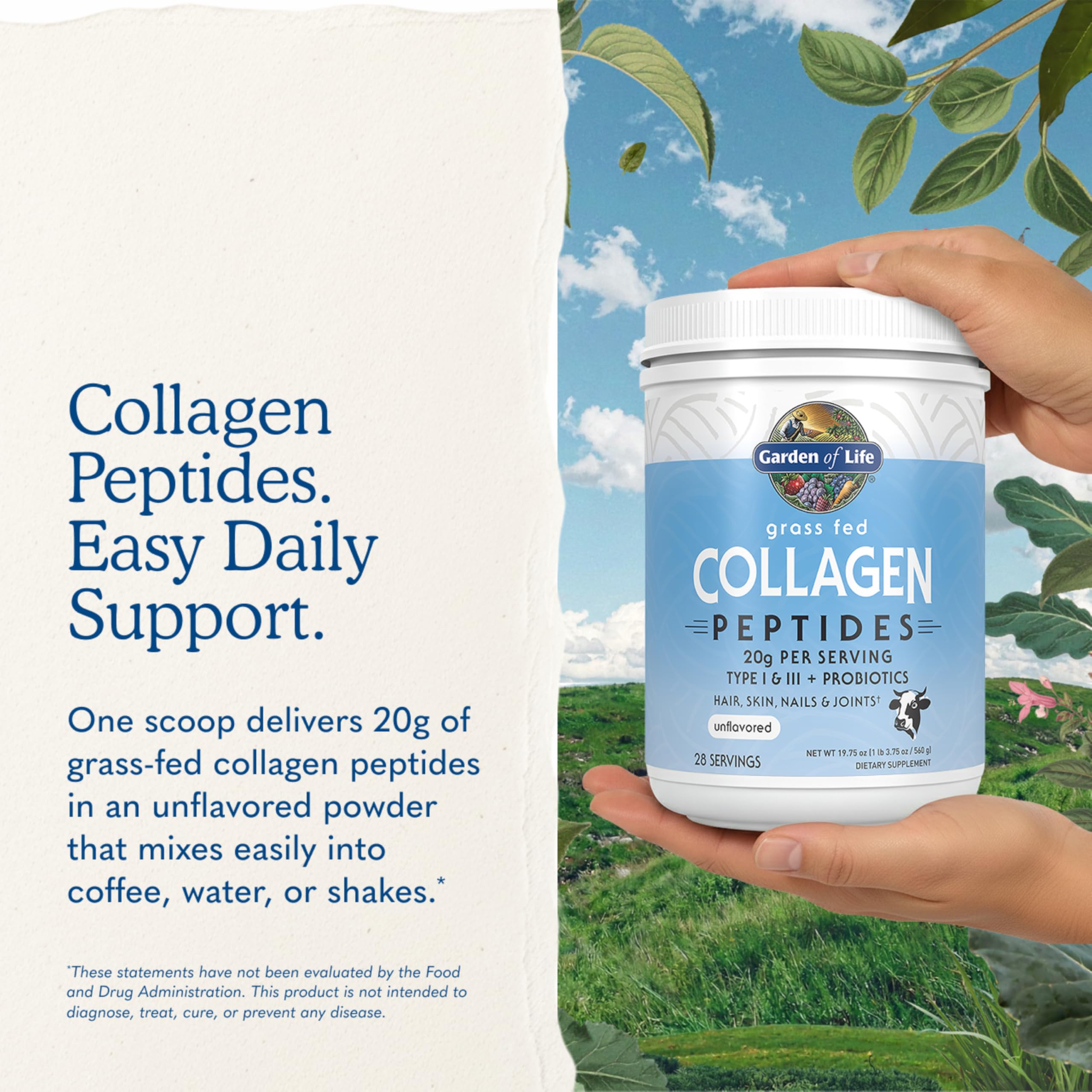 Garden of Life Grass Fed Collagen Peptides Powder for Skin

