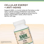 Double Wood NMN Supplement for NAD+ Support

