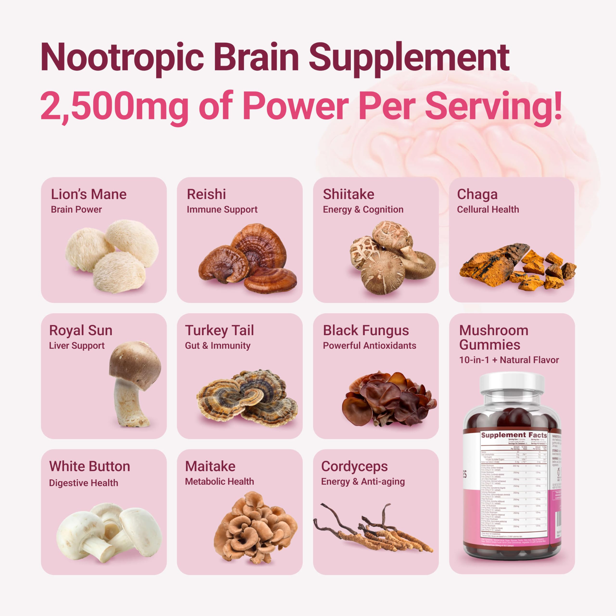 Mushroom Gummies for Immune Support | All Ages

