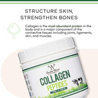 Double Wood Peptides Supplement | Hair, Skin & Joint Support


