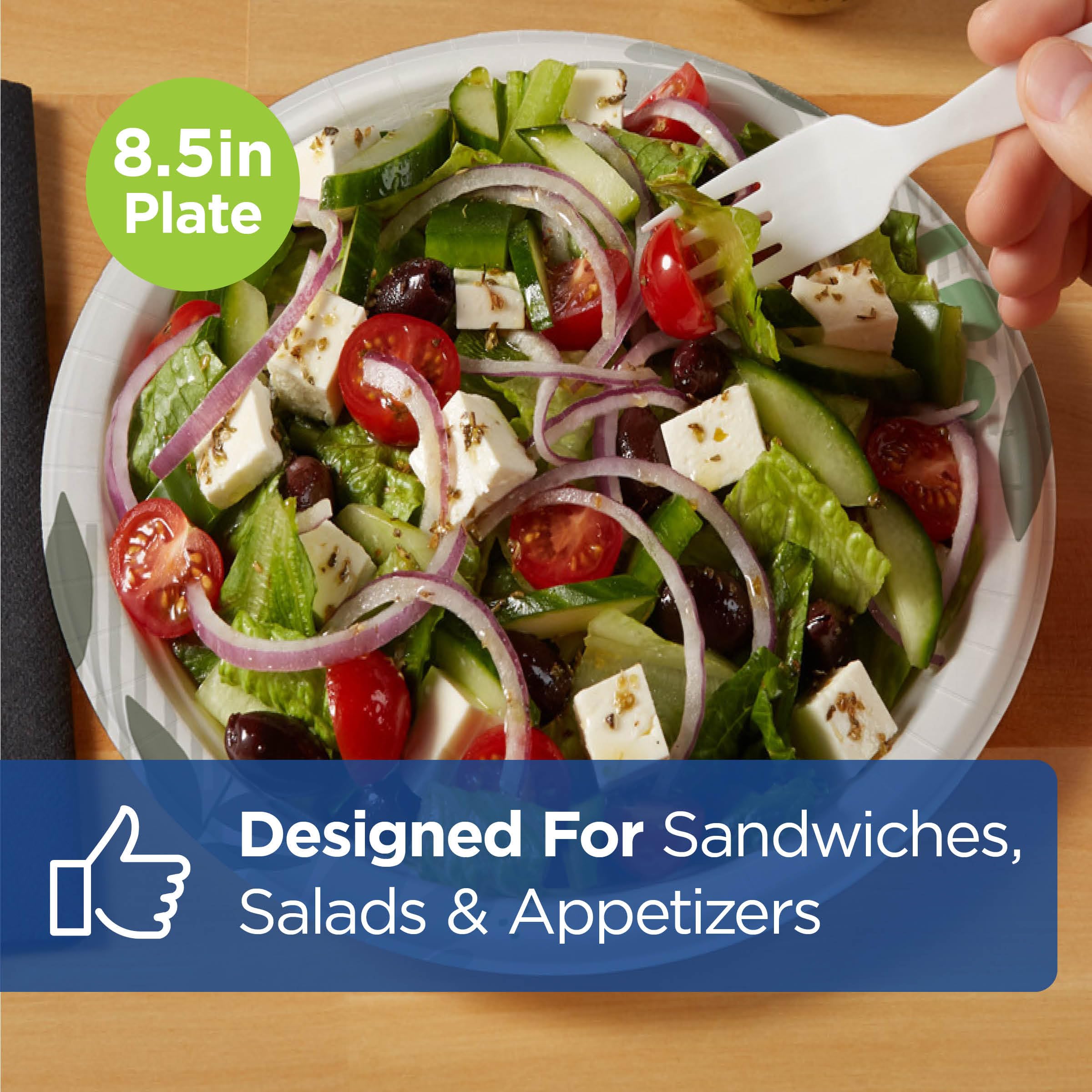 Dixie Disposable Plates – Compostable & Soak-Proof

