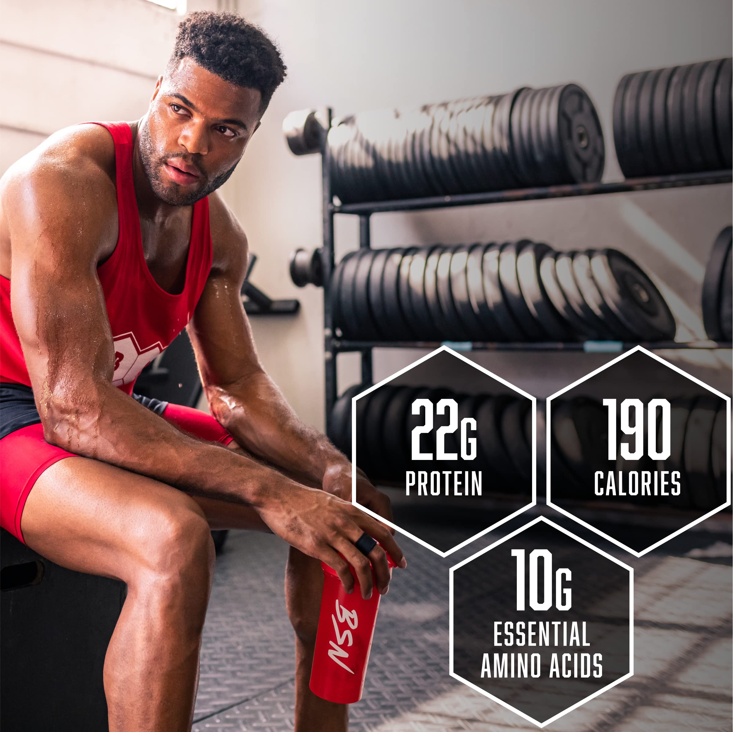 BSN SYNTHA-6 Whey Protein Powder

