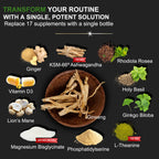 DLNIA Cortisol Support Supplement | Plant-Based Wellness

