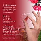 Garden of Life Organics Kids Multivitamin Gummies

