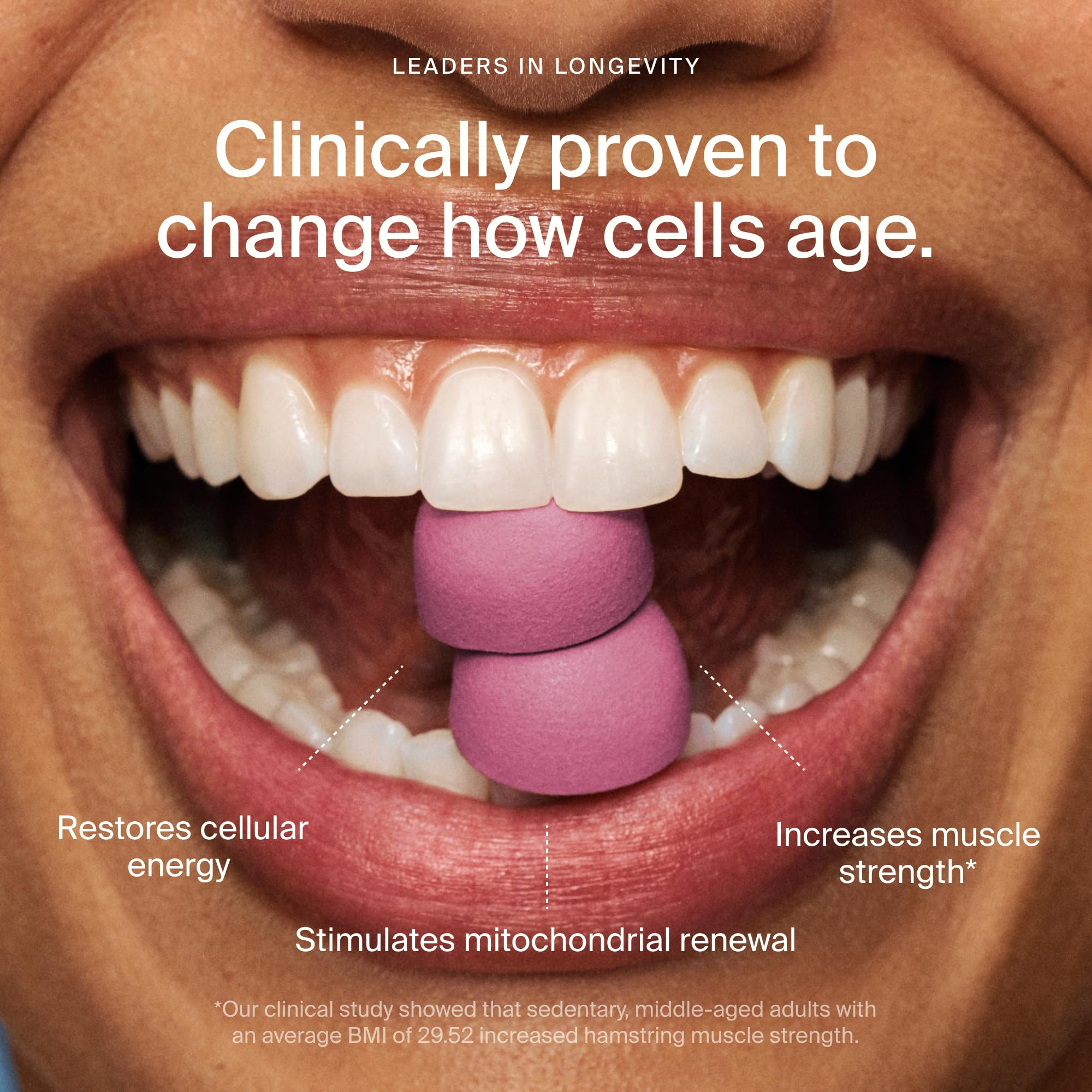 Timeline Mitopure Urolithin A Supplement | Cellular Health

