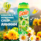 Gain In-Wash Scent Booster Beads Original Scent

