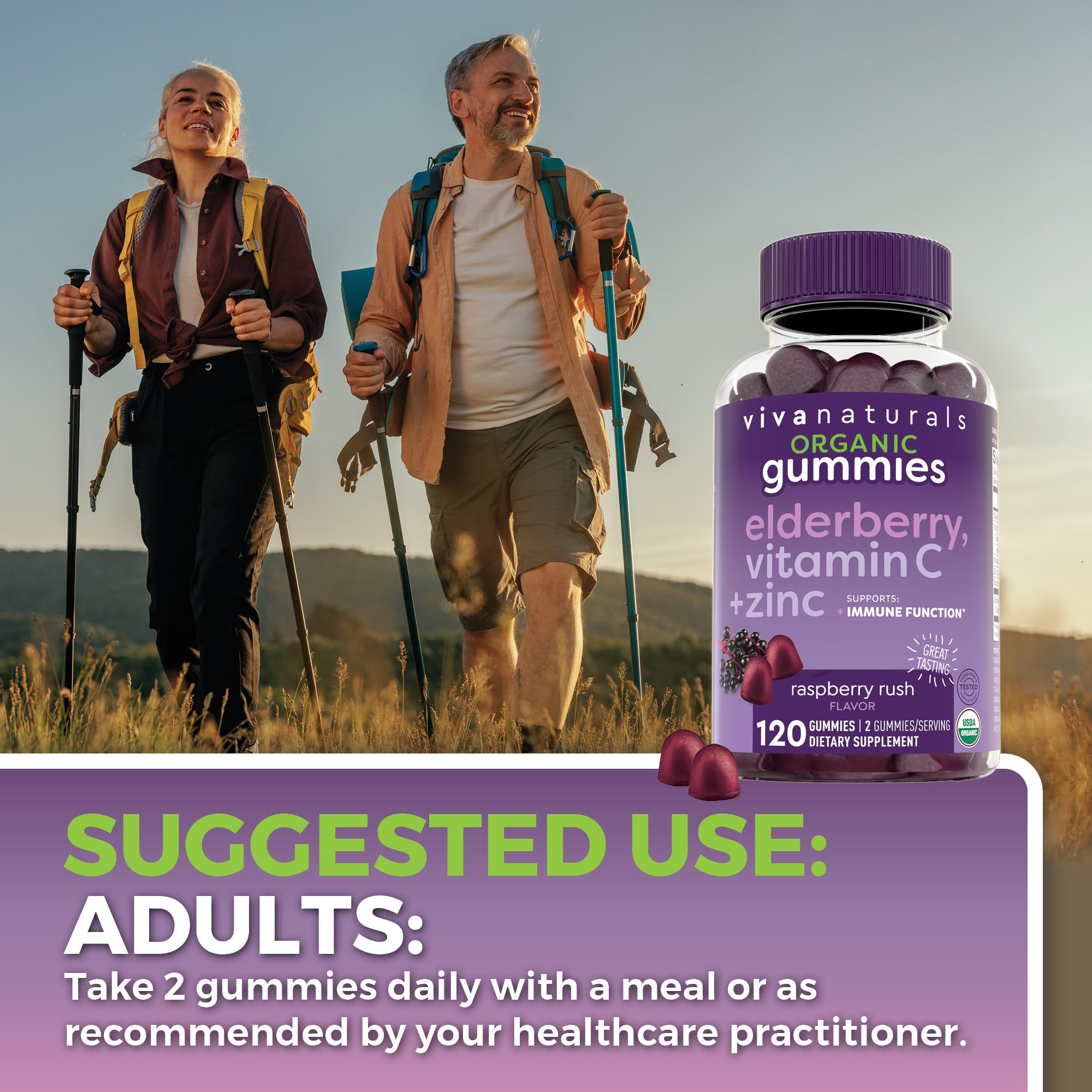 Viva Naturals Immune Support Gummies | Organic

