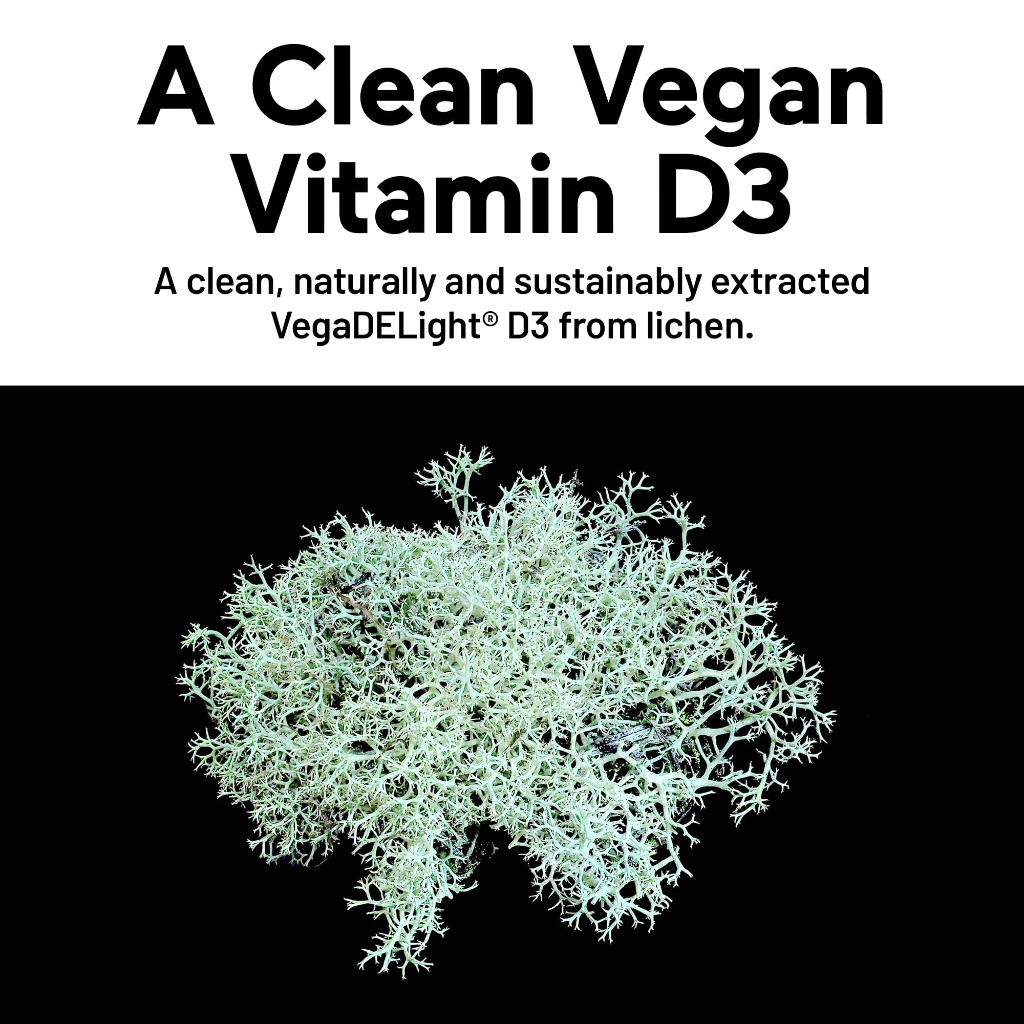 Vitamin D3 K2 by Smarter Nutrition – Vegan D3 5000 IU

