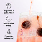 Hum Dream Team Nighttime Drink Mix for Sleep Support

