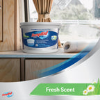 DampRid Hi-Capacity Moisture Absorber with Detection Strip

