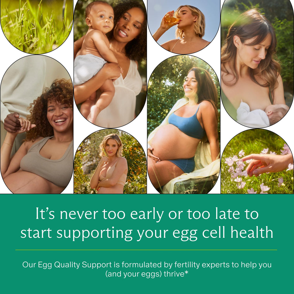 Egg Quality Support – Antioxidant Fertility Supplement

