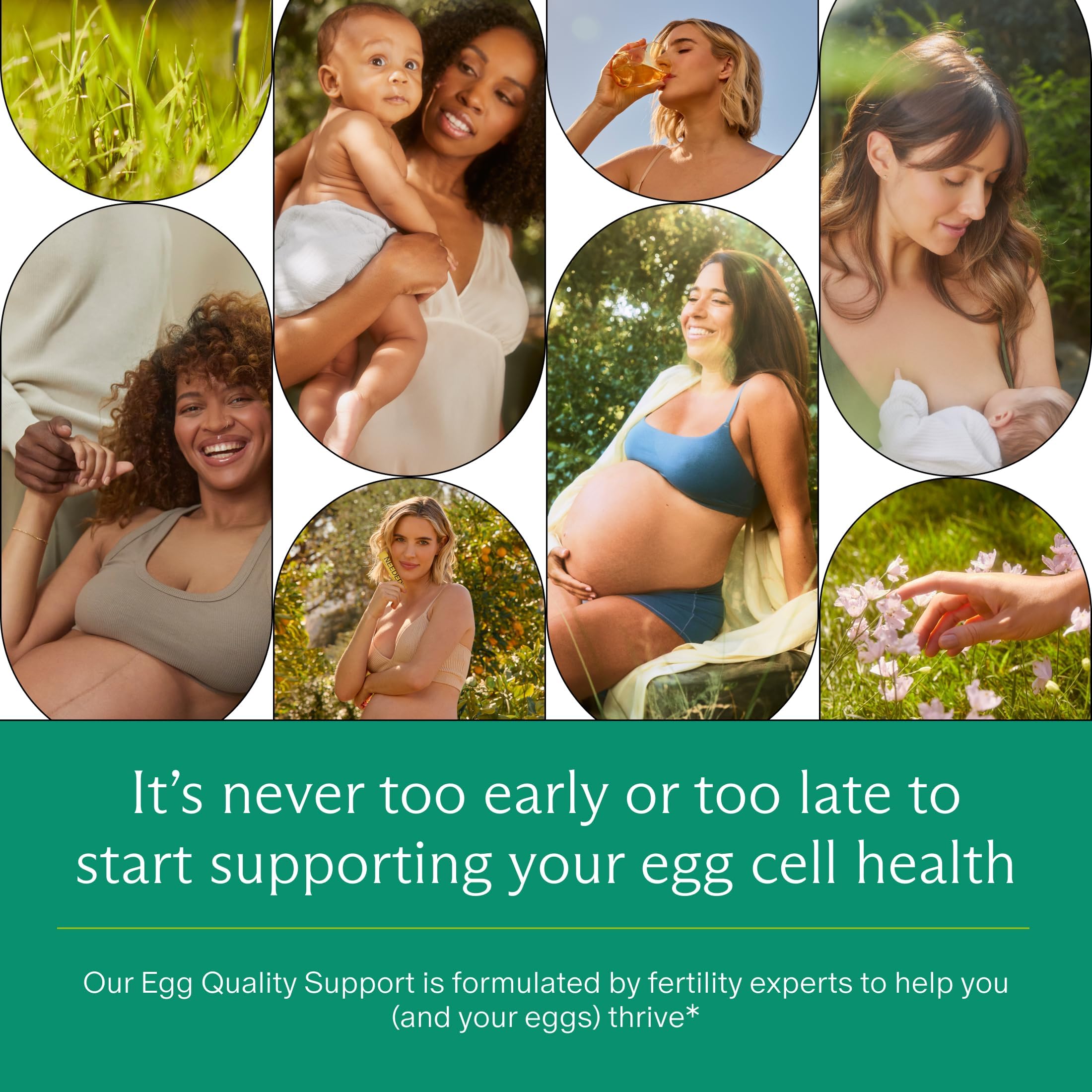 Egg Quality Support – Antioxidant Fertility Supplement

