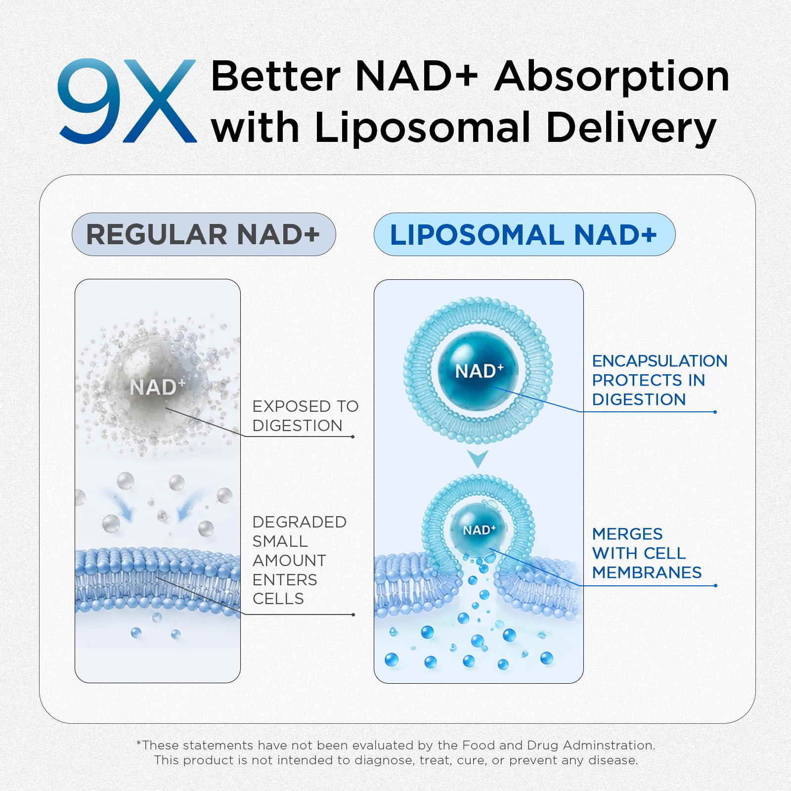 Selerb NAD+ Liposomal Supplement for Energy & Prostate Health

