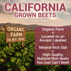 Dr. Berg Organic Beetroot Powder for Nitric Oxide

