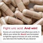 Redd Remedies Gouch Uric Acid & Joint Support

