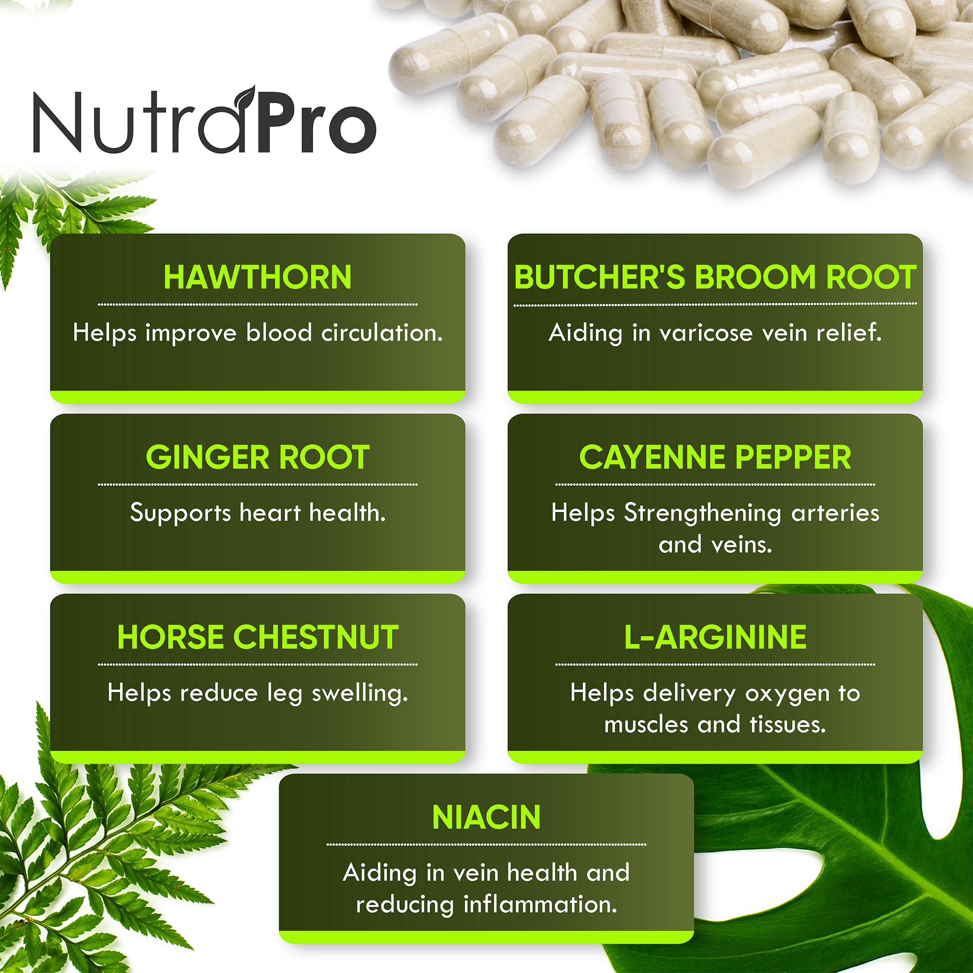 NutraPro Blood Circulation Supplement | Vein Health

