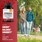 Sangluco Berberine Cinnamon Chromium Supplement

