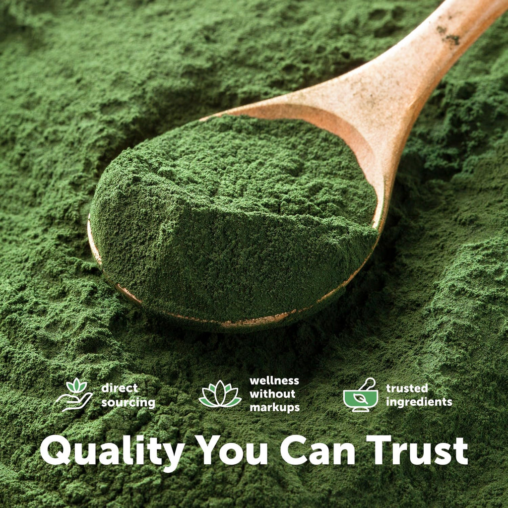Micro Ingredients Spirulina Powder - Organic Vegan Protein


