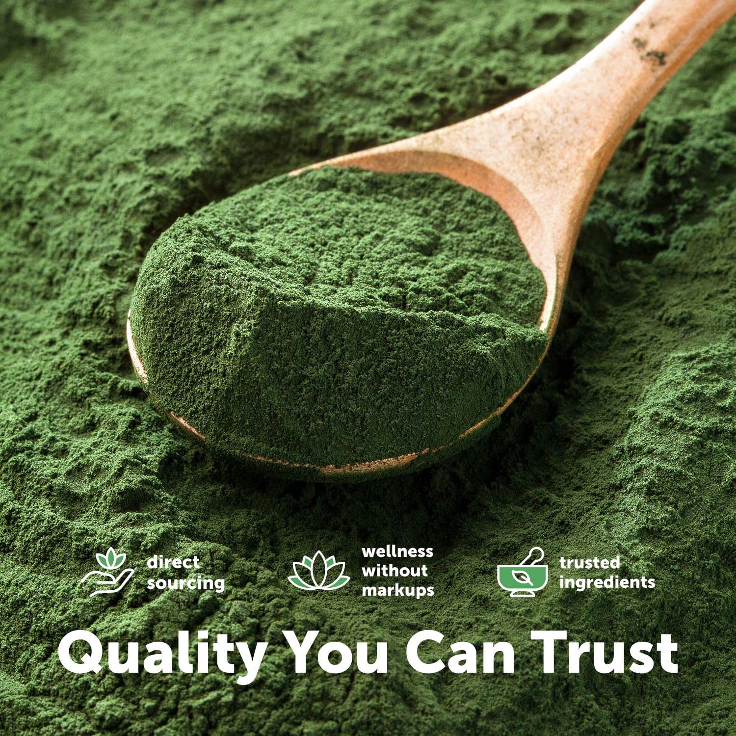 Micro Ingredients Spirulina Powder - Organic Vegan Protein

