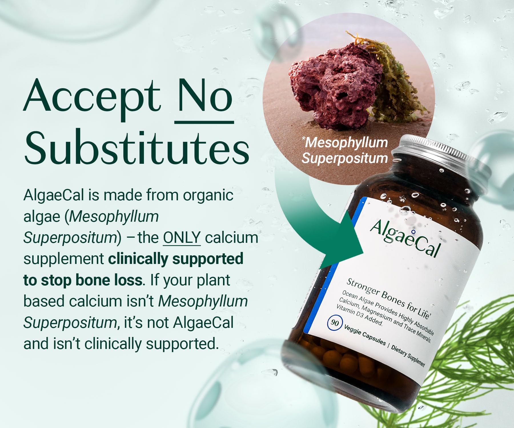 ALGAECAL Plant Based Calcium with Vitamin D3 1000 IU

