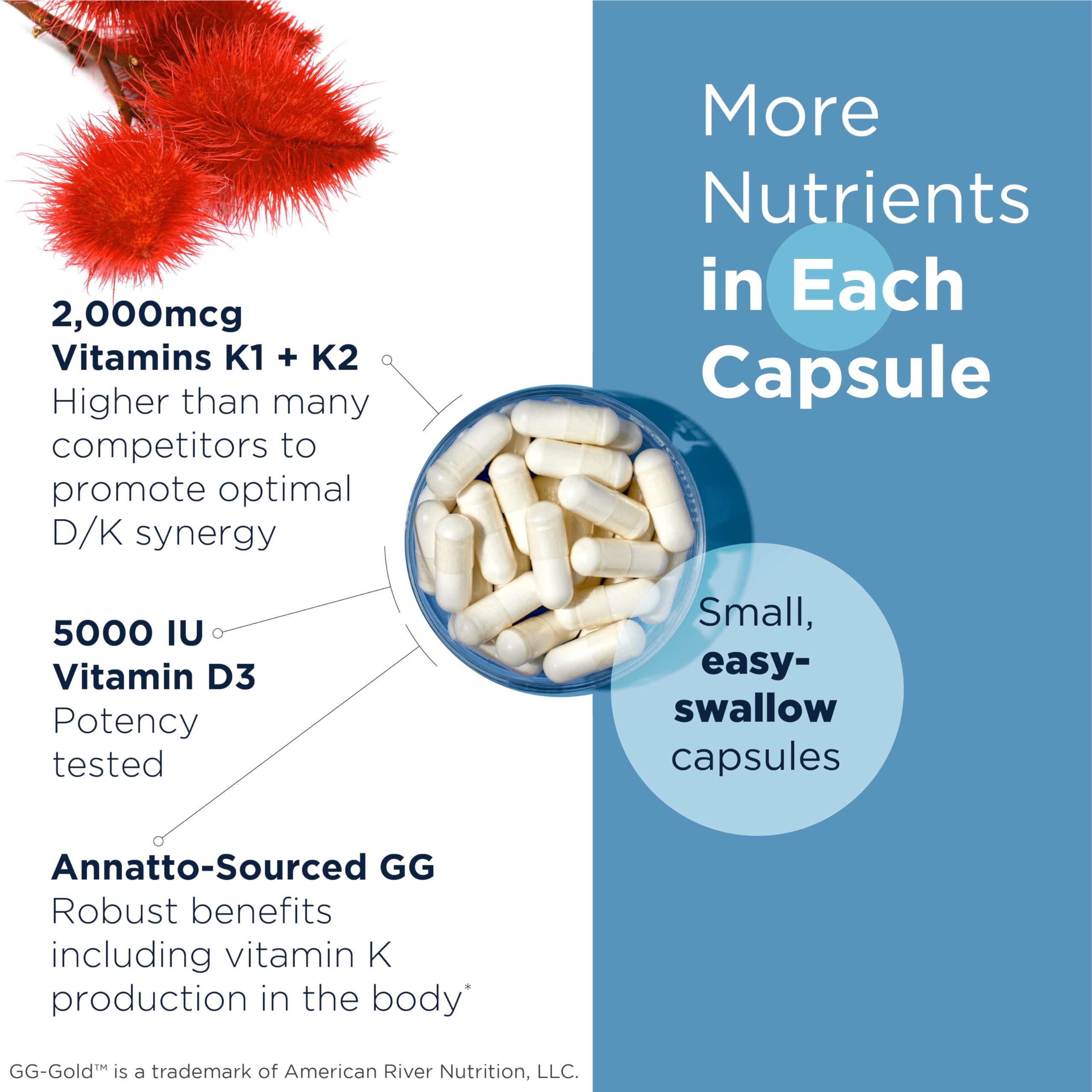 Designs for Health Vitamin D Supreme with Vitamin K and GG

