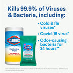 Clorox Disinfecting Wipes Bleach-Free Multi-Surface Cleaner

