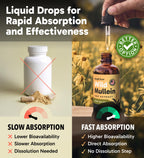 Mullein Drops with Ginger & Lemon for Lung Health

