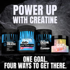 Animal Creatine Monohydrate Powder – Micronized Performance

