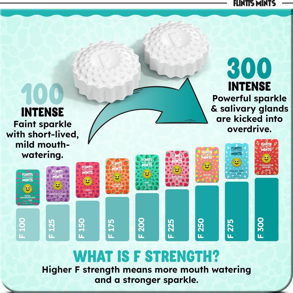 Flintts Mints Sugar Free Vegan Mints for Dry Mouth Relief

