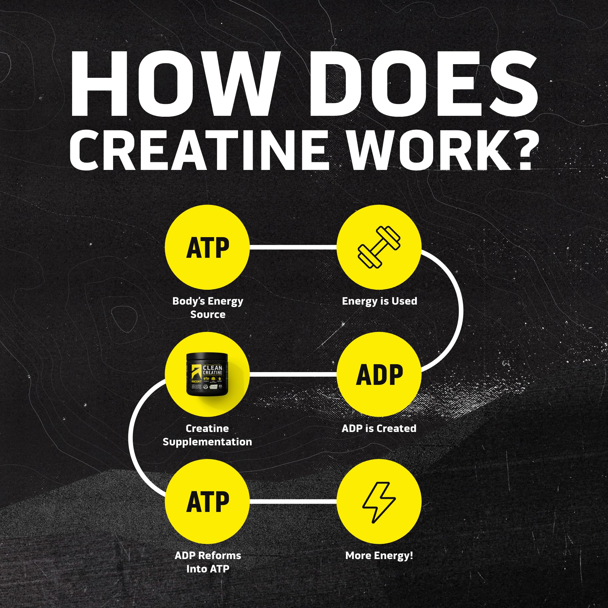 Ascent Clean Creatine Monohydrate Powder Creapure Certified

