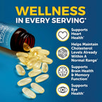 Omega-3 Fish Oil Supplement - Triple Strength 2500 mg EPA

