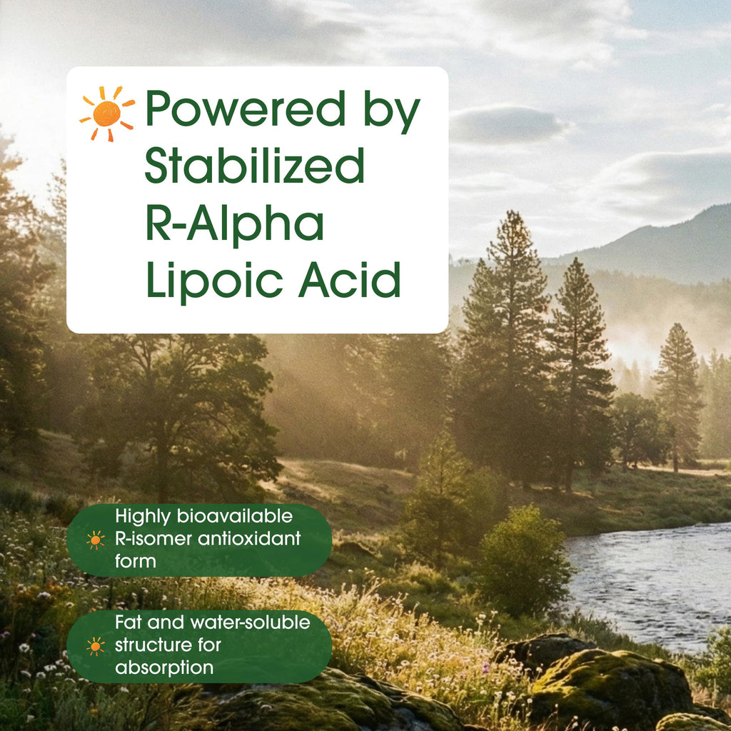 NatureBell R-Alpha Lipoic Acid | Stabilized R-Isomer

