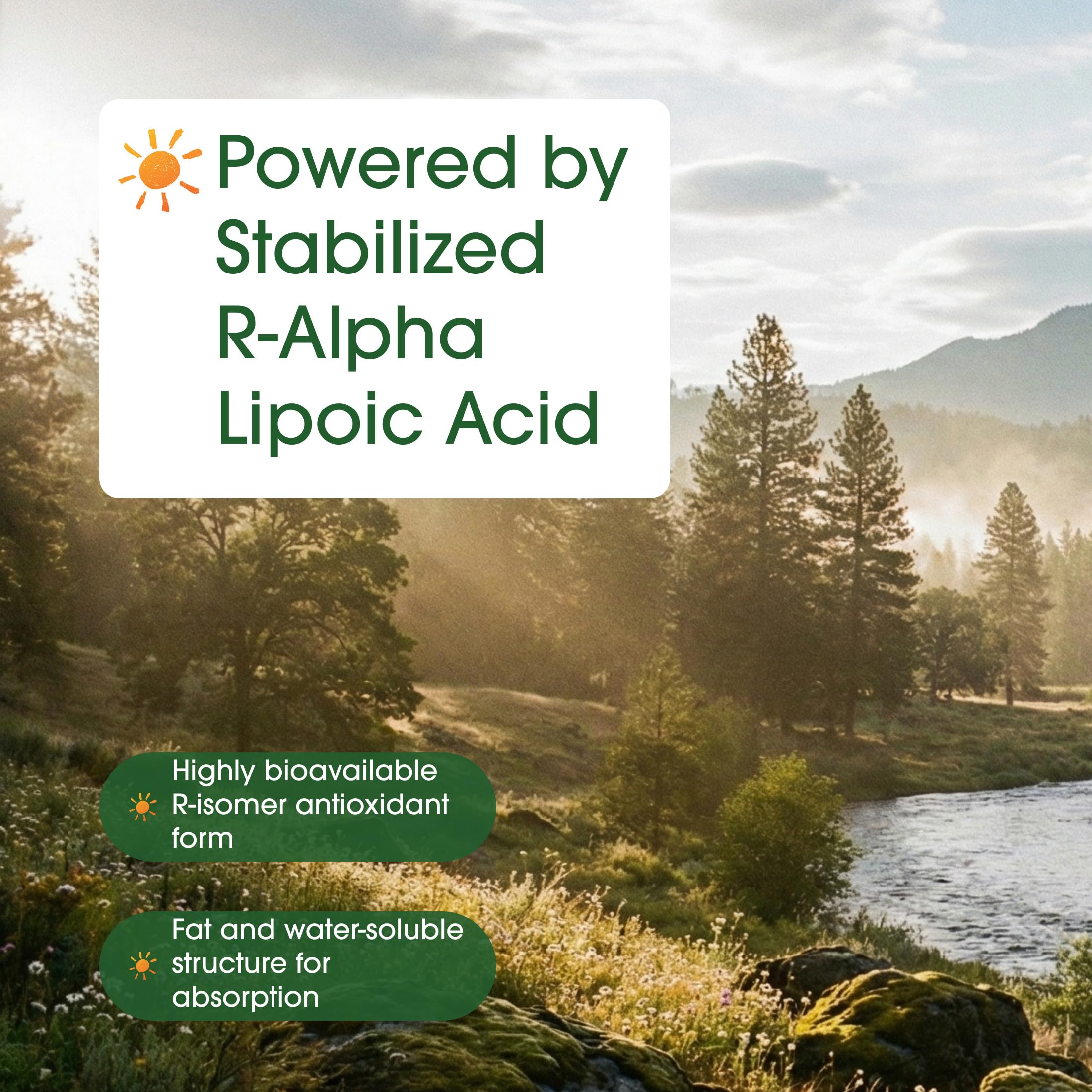 NatureBell R-Alpha Lipoic Acid | Stabilized R-Isomer

