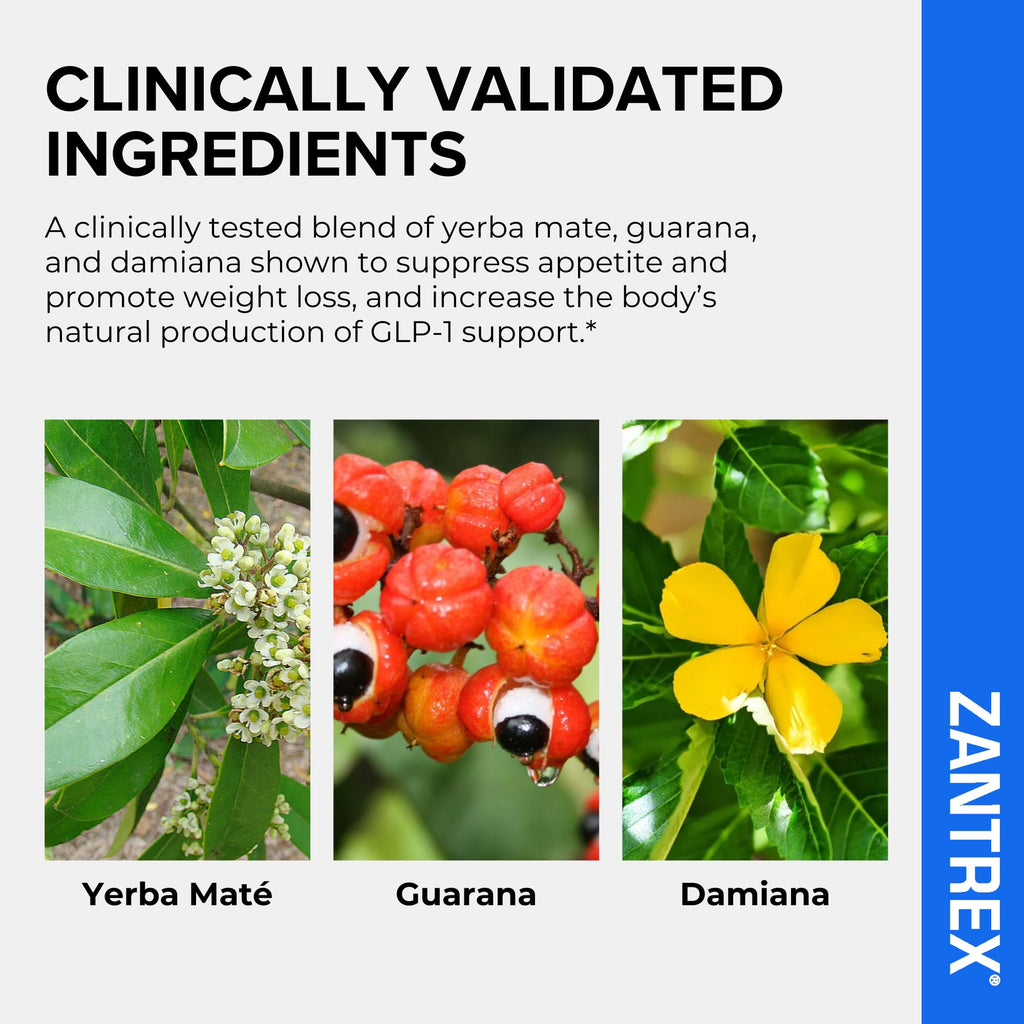Zantrex Blue Energy & Thermogenesis | Appetite Control GLP-1

