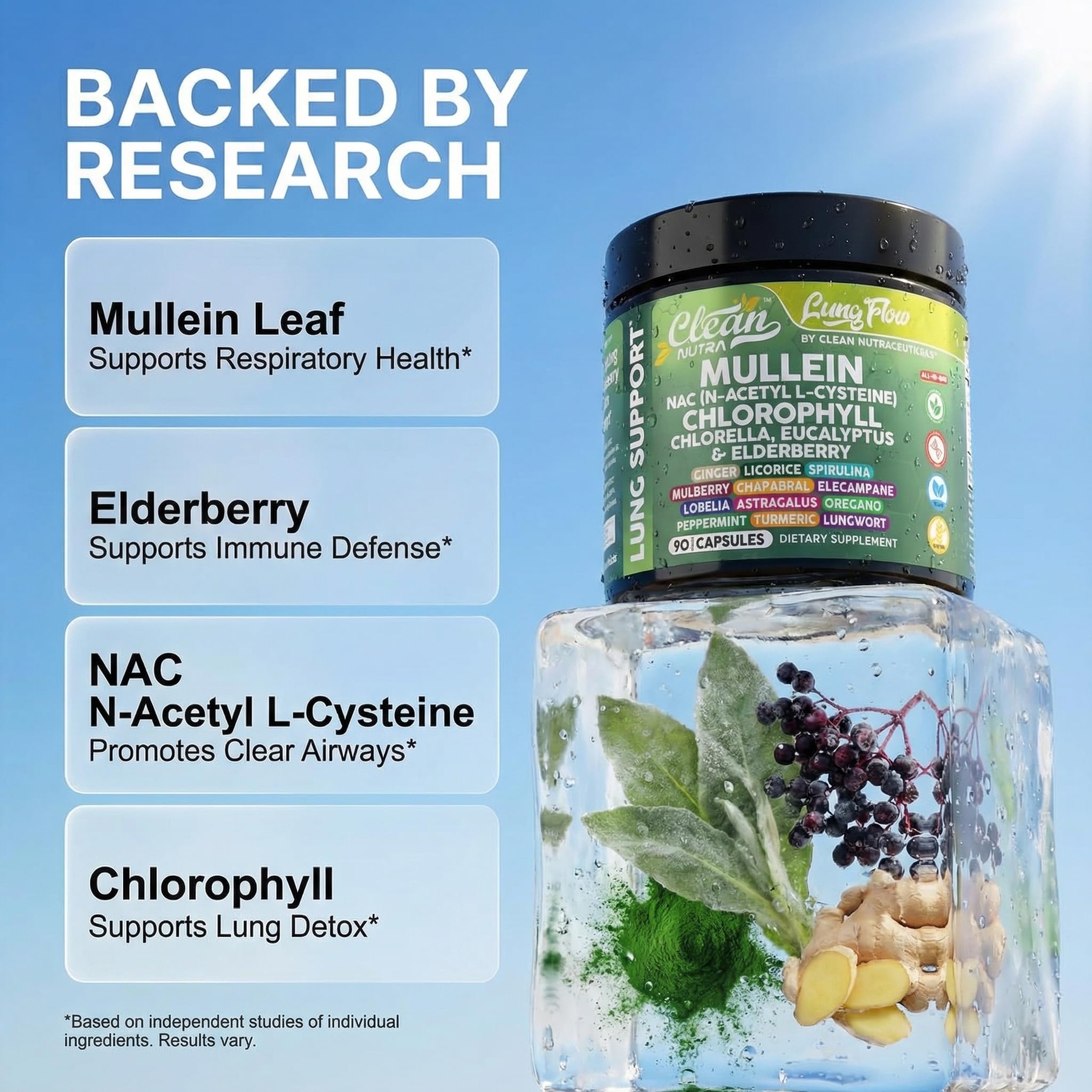 Clean Nutra Respiratory Support Capsules | Breath Easy

