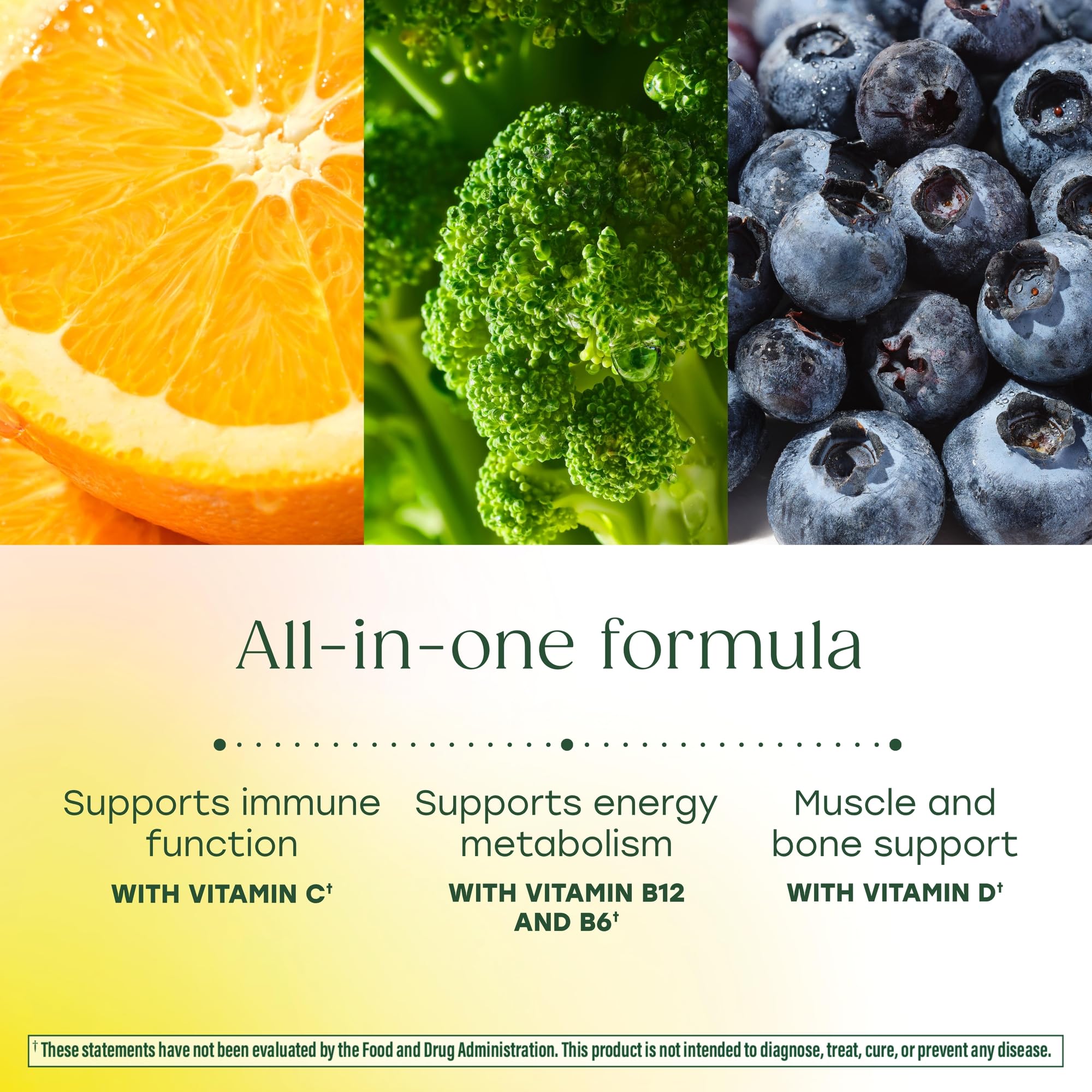 One Daily Men's Multivitamin MegaFood | Immune & Energy

