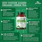 Zazzee Green Tea Extract Dietary Supplement

