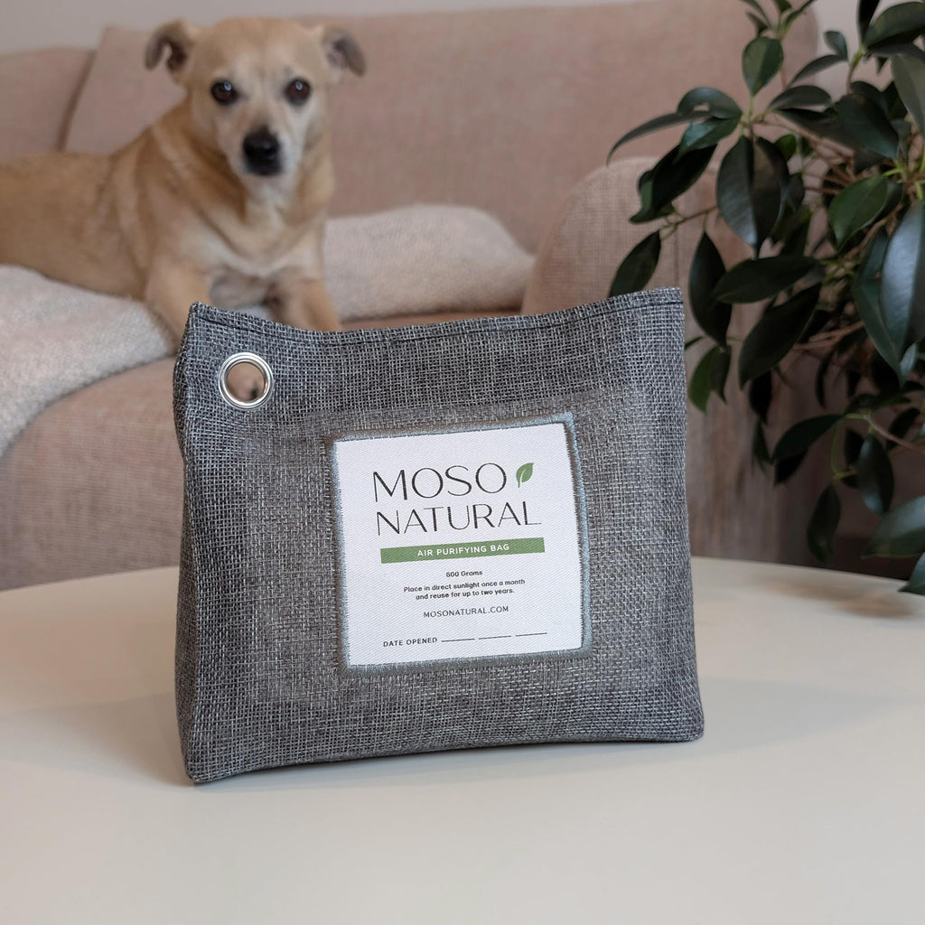 Moso Natural Bamboo Charcoal Air Purifying Bag Unscented

