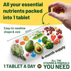 Vegan Multivitamin & Mineral Supplement | Adults

